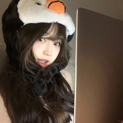 动物频道