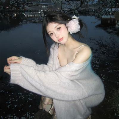 特工插班生
